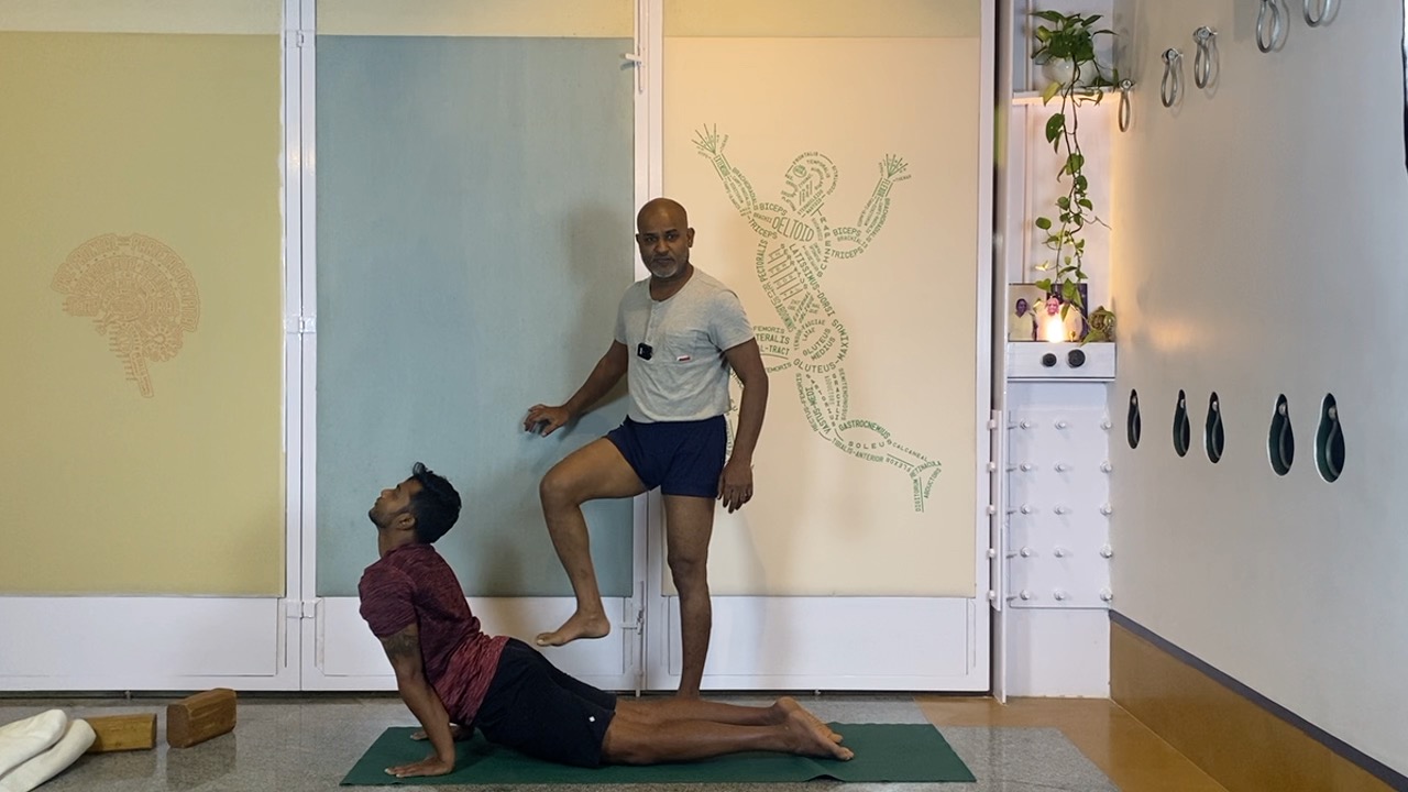 Beginners' Back Arches Practice Part 3: Urdhvamukhasvanasana, Chatuspadasana, Purvottanasana - Image 7