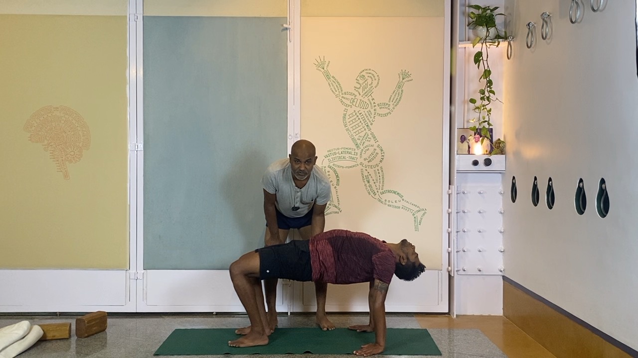 Beginners' Back Arches Practice Part 3: Urdhvamukhasvanasana, Chatuspadasana, Purvottanasana - Image 8