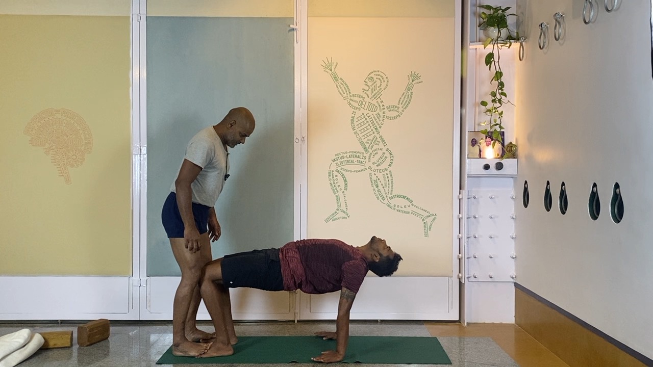 Beginners' Back Arches Practice Part 3: Urdhvamukhasvanasana, Chatuspadasana, Purvottanasana - Image 9