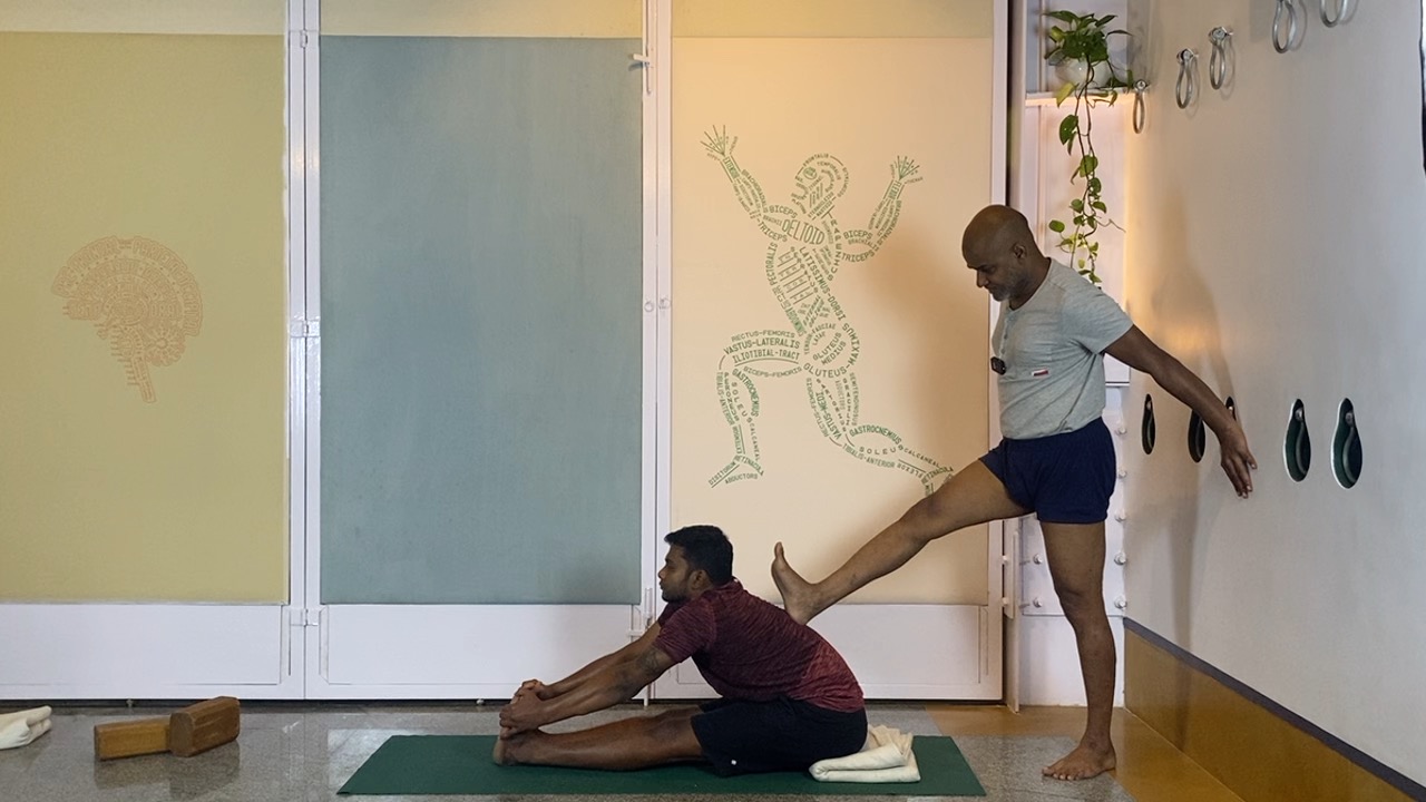 Beginners' Back Arches Practice Part 3: Urdhvamukhasvanasana, Chatuspadasana, Purvottanasana - Image 10