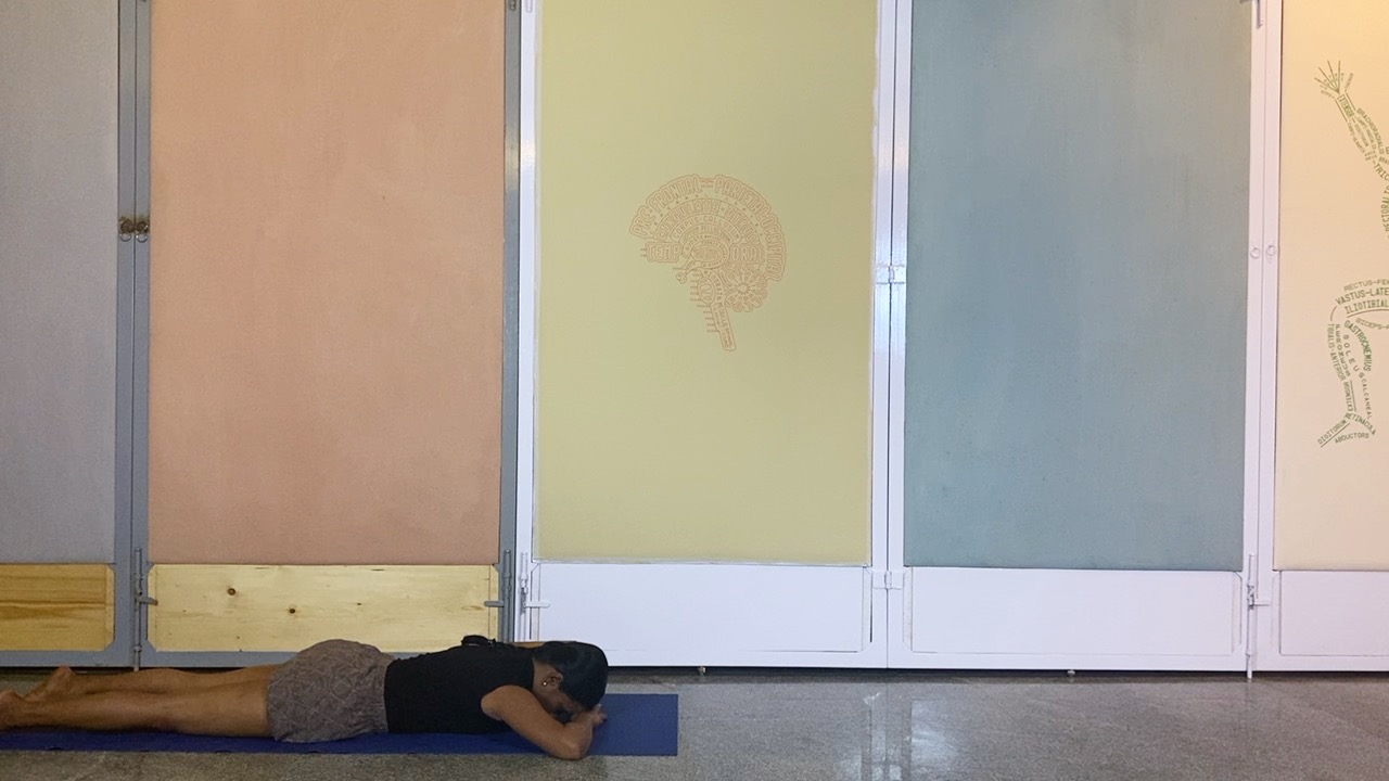 Simple and Energetic Shoulder Strengthening - Image 2