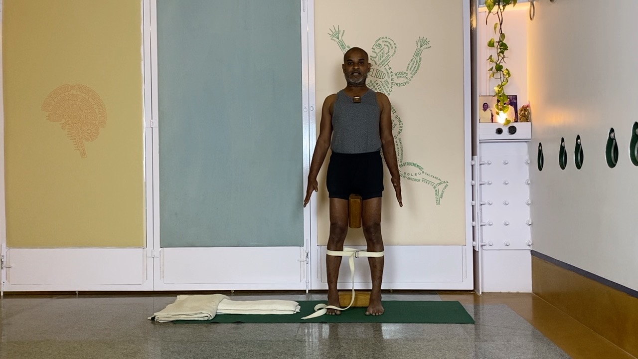 Gentle Exploration of Back Arches: Chatuspadasana - Image 9