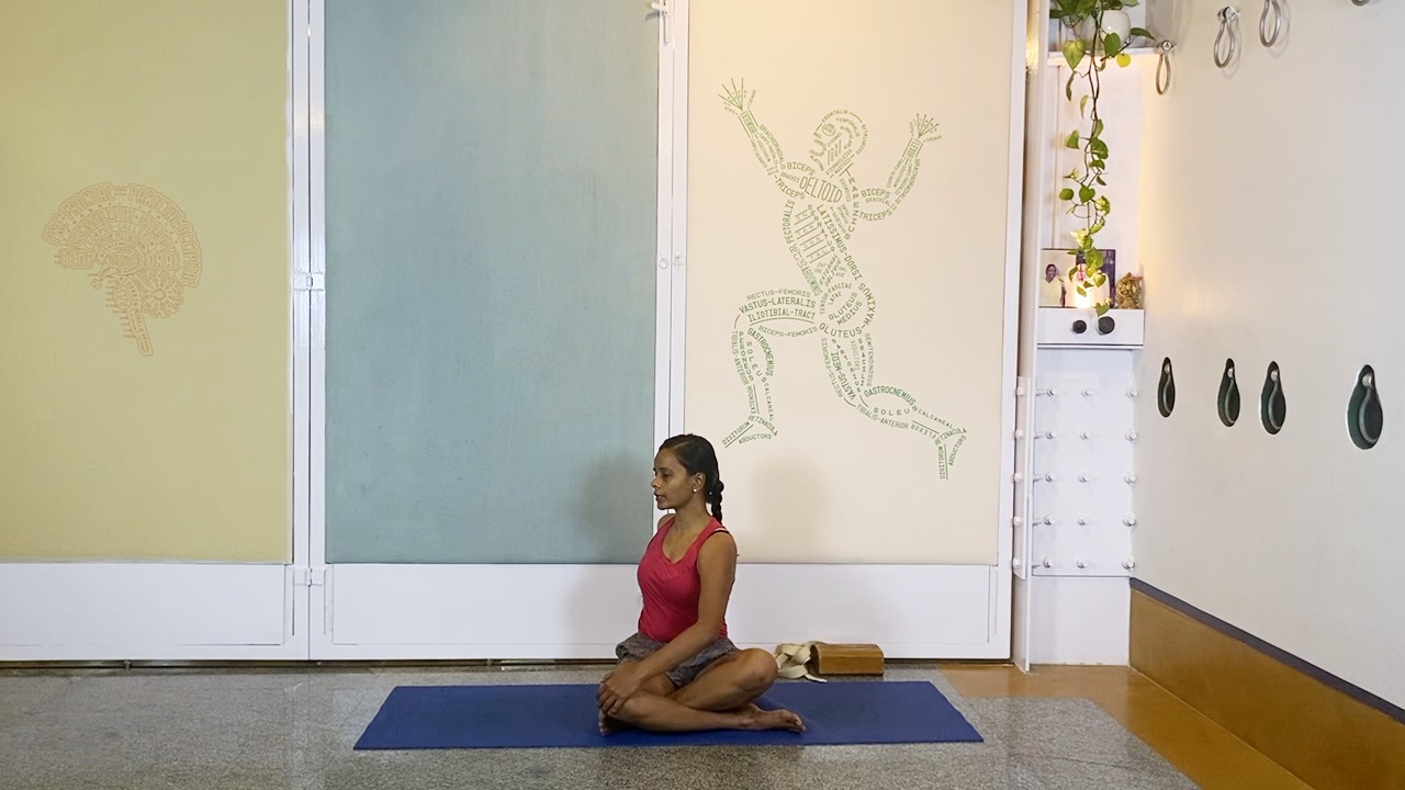 Spinal Segmentation: Working on the 'Concave Back' with Belt - Image 10