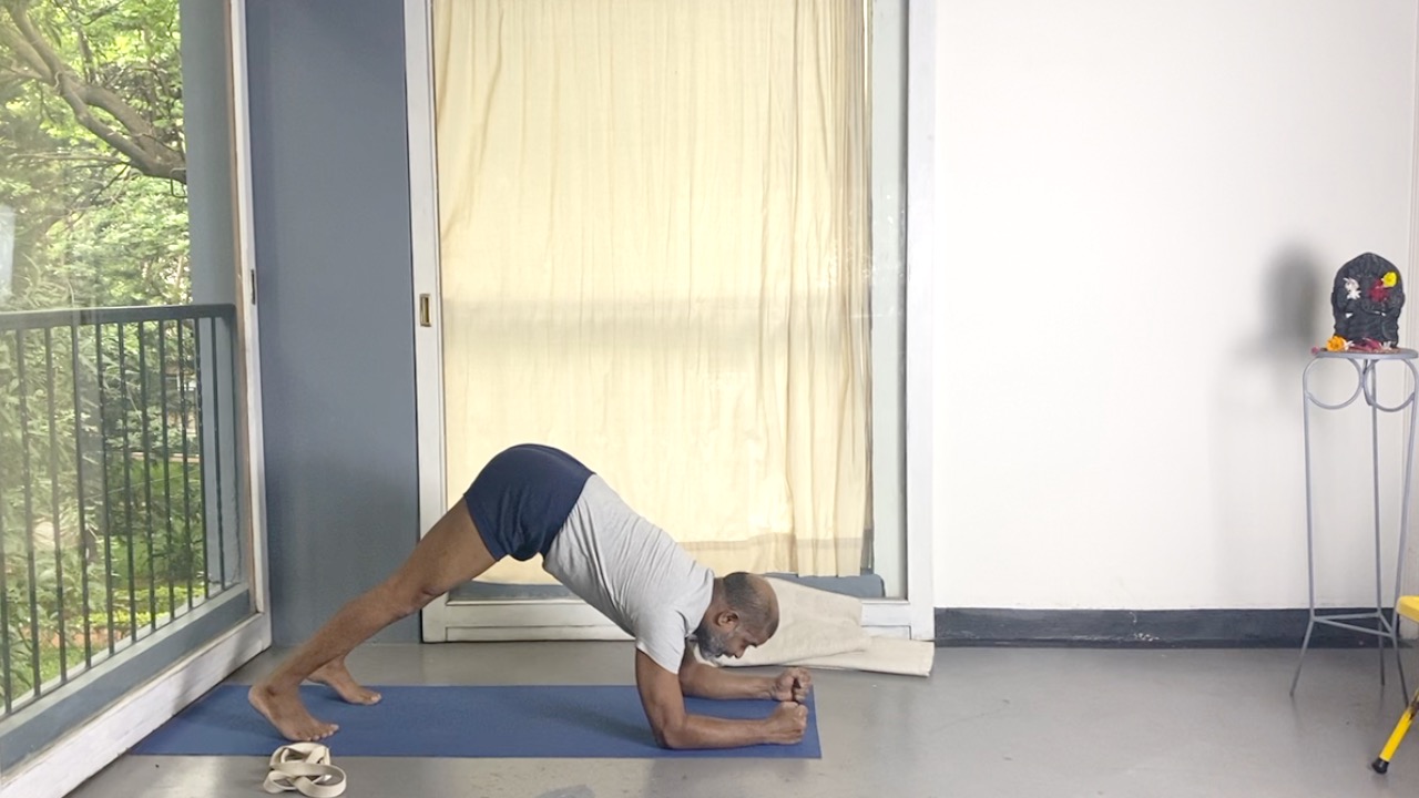 Arms Connecting to Sides for Effortless Inversions (Headstand, Shoulderstand and Elbow Balance) - Image 3