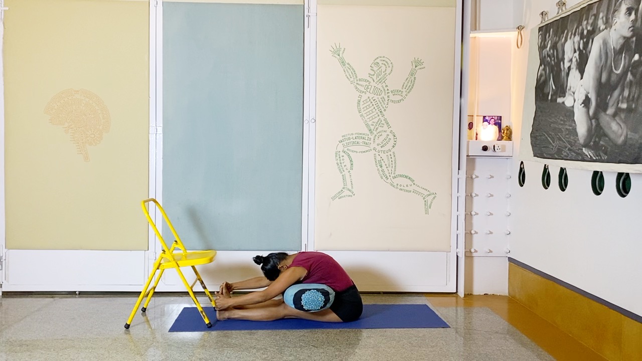 Back Arches & Forward Extensions, Culminating in Viparita Karani - Image 11