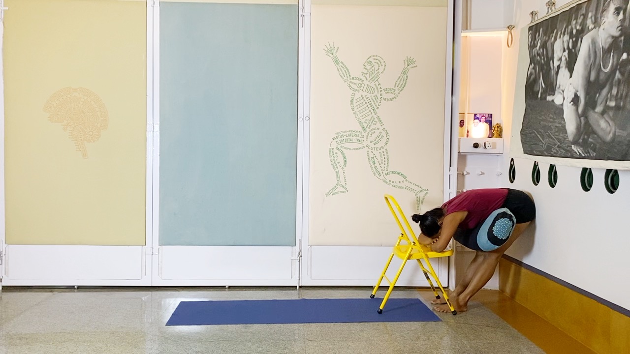 Back Arches & Forward Extensions, Culminating in Viparita Karani - Image 12