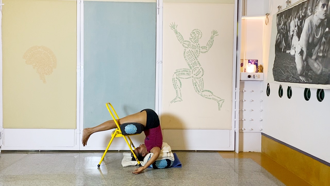 Back Arches & Forward Extensions, Culminating in Viparita Karani - Image 13