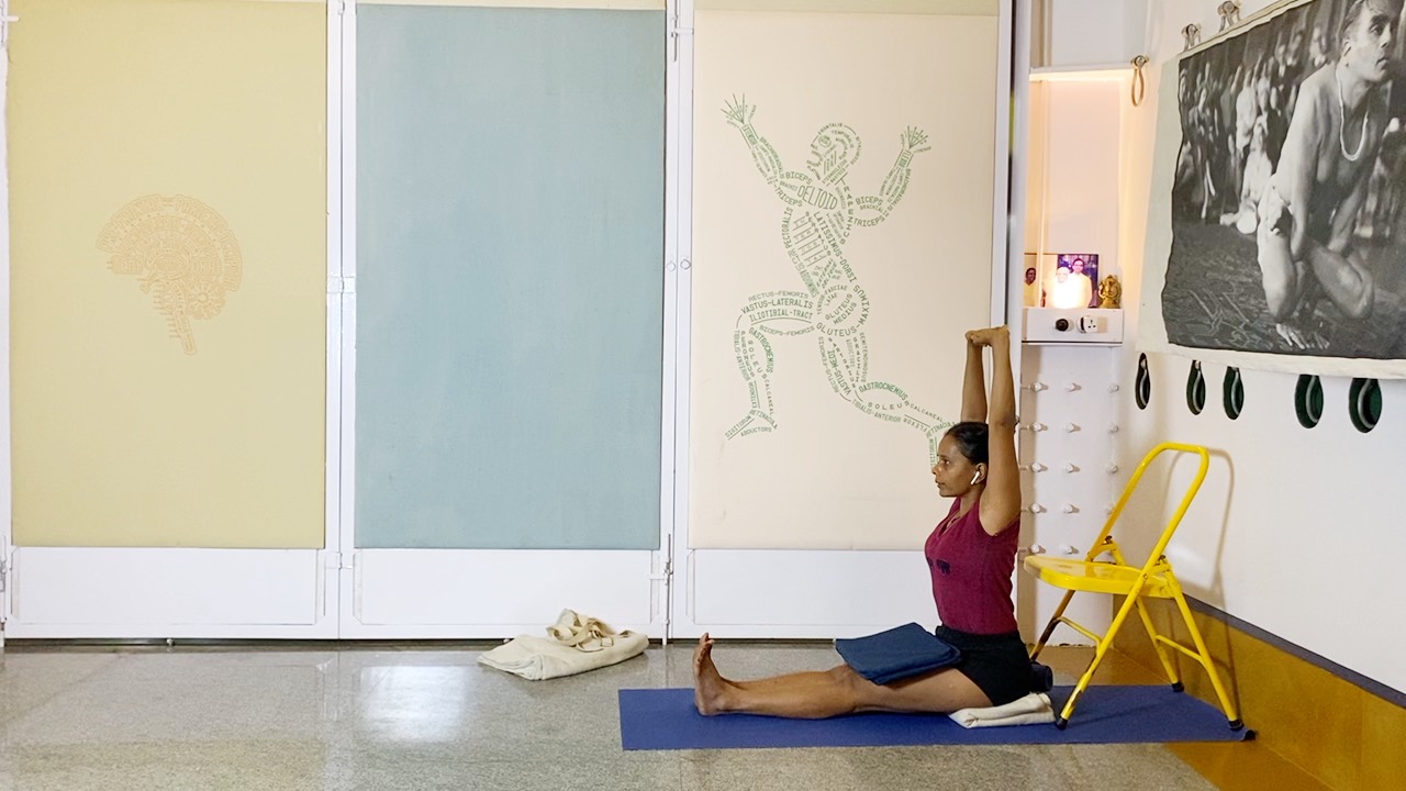 Back Arches & Forward Extensions, Culminating in Viparita Karani - Image 8