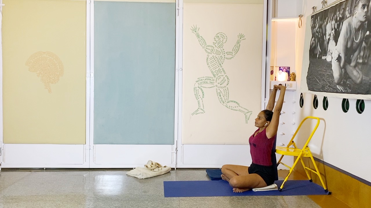 Back Arches & Forward Extensions, Culminating in Viparita Karani - Image 9