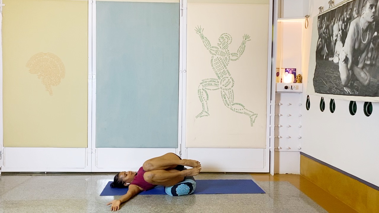 Back Arches & Forward Extensions, Culminating in Viparita Karani - Image 10