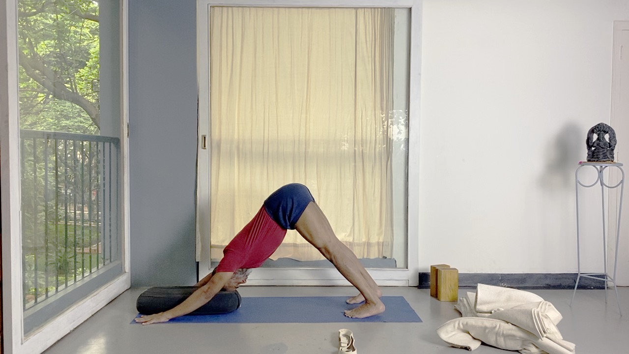 Strengthening Legs from Thighs to Ankles - Image 4