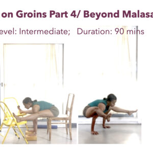 Beyond Squatting to Arm Balances and Inversions