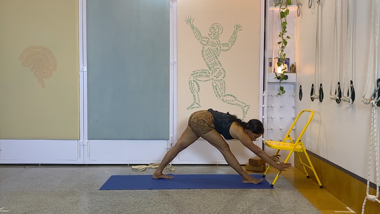 Preparing for seated Forward Extensions Like Paschimottanasana and Janu Sirsasana - Image 7