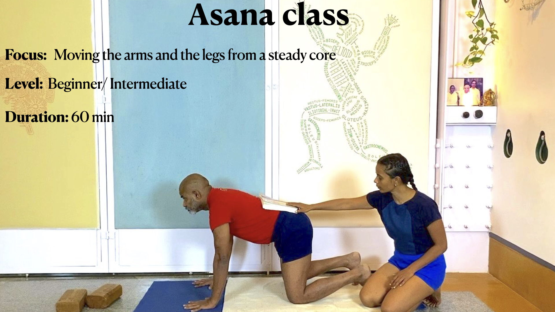 Moving the Arms and the Legs from a Steady Core
