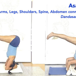 Dandasana Part2: Taking the L-Shape Upside Down to Connect Arms, Legs, Spine and Abdomen