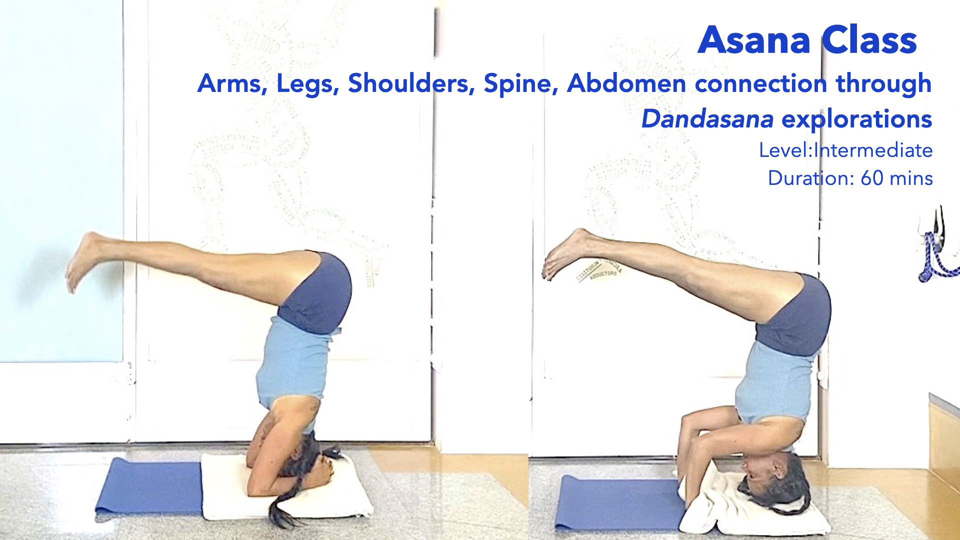 Dandasana Part2: Taking the L-Shape Upside Down to Connect Arms, Legs, Spine and Abdomen