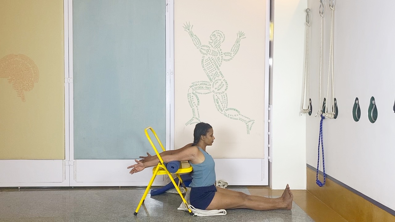 Dandasana Part2: Taking the L-Shape Upside Down to Connect Arms, Legs, Spine and Abdomen - Image 4