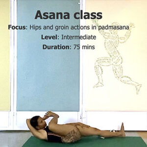 Padmasana Preparation, Akunchan Kriya in Supta Padangusthasana