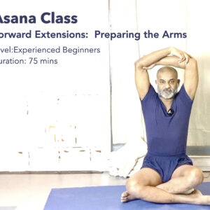 Forward Extensions: Preparing the Arms