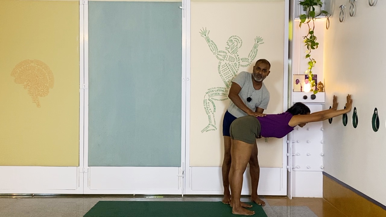 Anatomical Understanding of Lumbar Back in Forward Extensions, Experienced through Lateral Movements and Spinal Extensions - Image 3