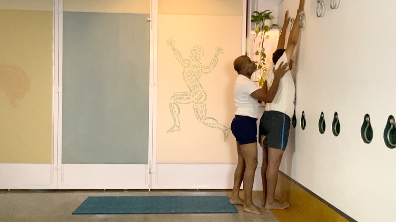 Principles of Forward Extensions in Standing Asanas - Image 2