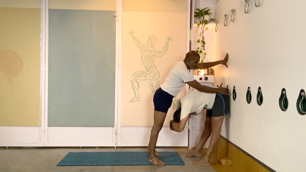 Principles of Forward Extensions in Standing Asanas - Image 8