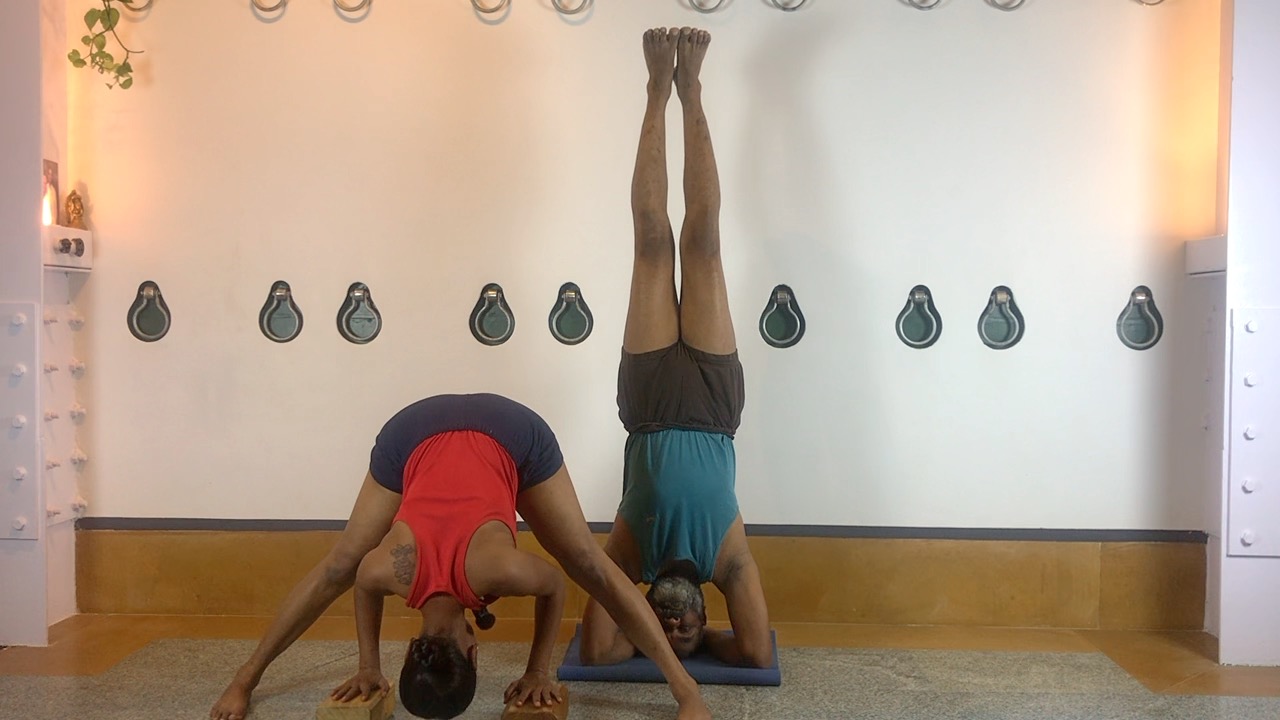 Stable Shoulders and Pranayama Hybrid - Image 9