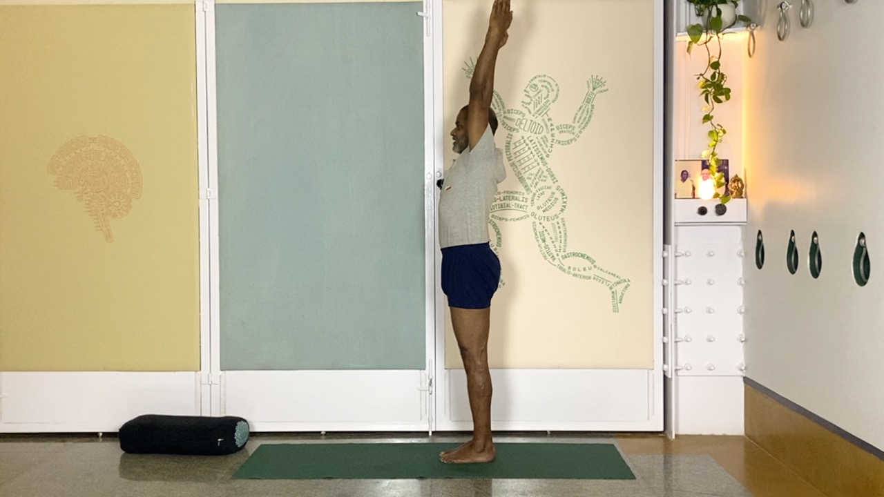 Anatomical Understanding of Lumbar Back in Forward Extensions Experienced through Simple Movements - Image 4