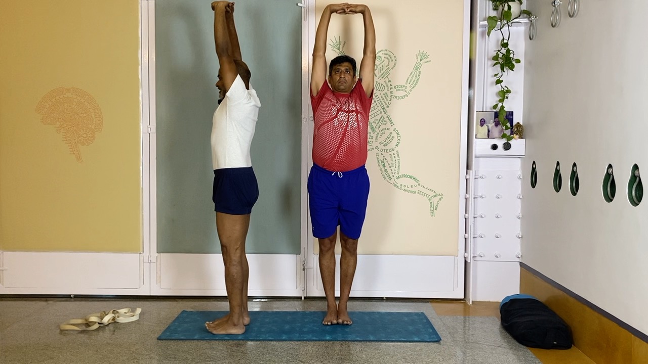 Anatomical Understanding of Lumbar Back for Forward Extensions at the Beginner Level - Image 8