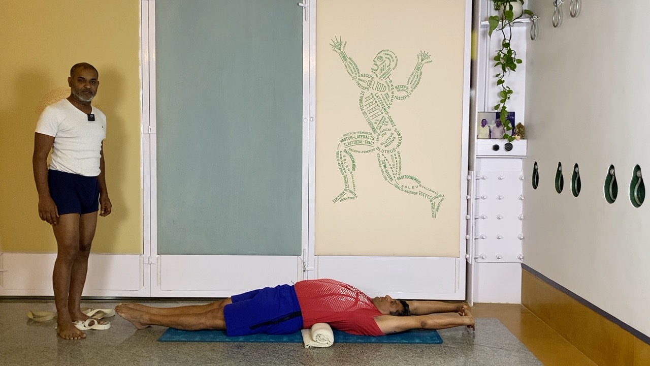 Anatomical Understanding of Lumbar Back for Forward Extensions at the Beginner Level - Image 6