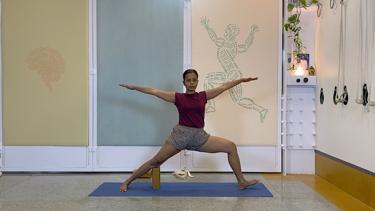 Standing Asana Intensive with Focus on Ankles, Leading to Bhekasana (Part1 of Back Arches Weekend Intensive) - Image 3