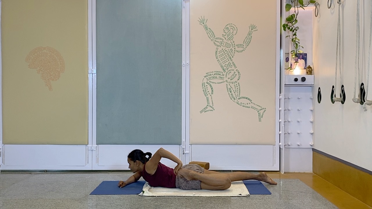 Standing Asana Intensive with Focus on Ankles, Leading to Bhekasana (Part1 of Back Arches Weekend Intensive) - Image 12