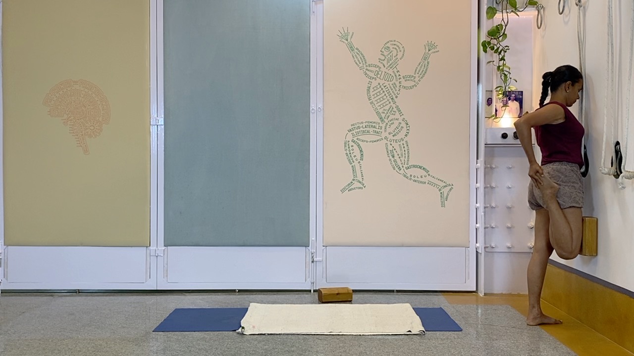 Standing Asana Intensive with Focus on Ankles, Leading to Bhekasana (Part1 of Back Arches Weekend Intensive) - Image 14