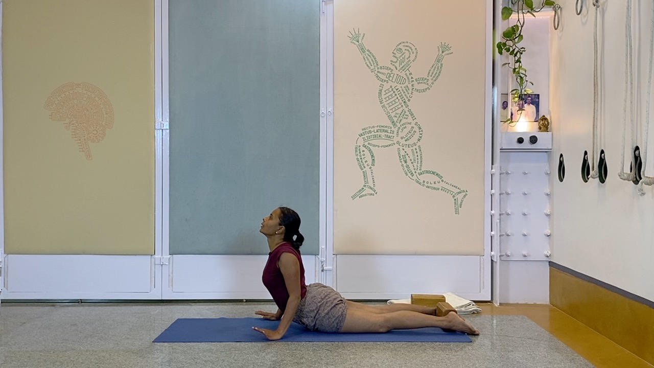 Standing Asana Intensive with Focus on Ankles, Leading to Bhekasana (Part1 of Back Arches Weekend Intensive) - Image 17