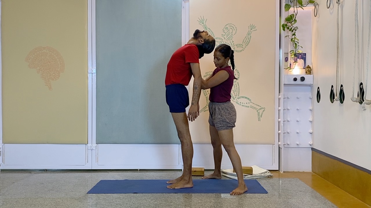 Standing Asana Intensive with Focus on Ankles, Leading to Bhekasana (Part1 of Back Arches Weekend Intensive) - Image 2