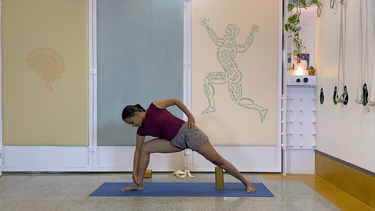 Standing Asana Intensive with Focus on Ankles, Leading to Bhekasana (Part1 of Back Arches Weekend Intensive) - Image 4