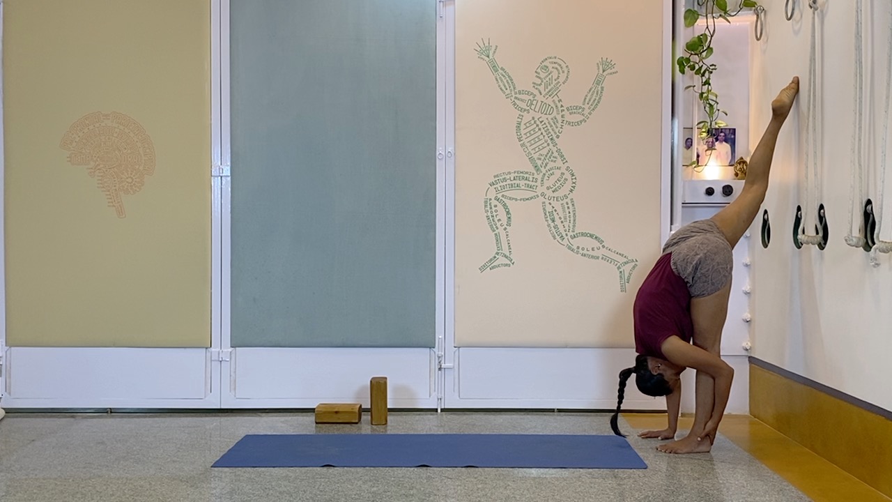 Standing Asana Intensive with Focus on Ankles, Leading to Bhekasana (Part1 of Back Arches Weekend Intensive) - Image 7