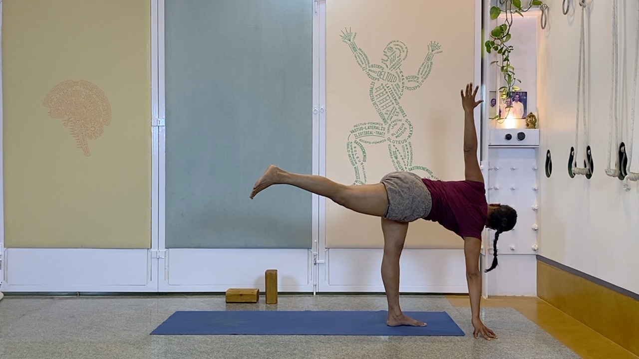 Standing Asana Intensive with Focus on Ankles, Leading to Bhekasana (Part1 of Back Arches Weekend Intensive) - Image 8