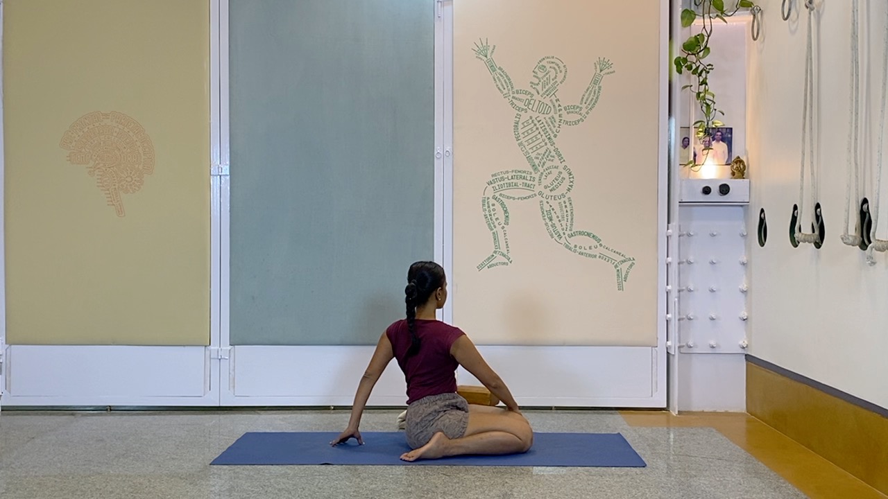 Standing Asana Intensive with Focus on Ankles, Leading to Bhekasana (Part1 of Back Arches Weekend Intensive) - Image 11