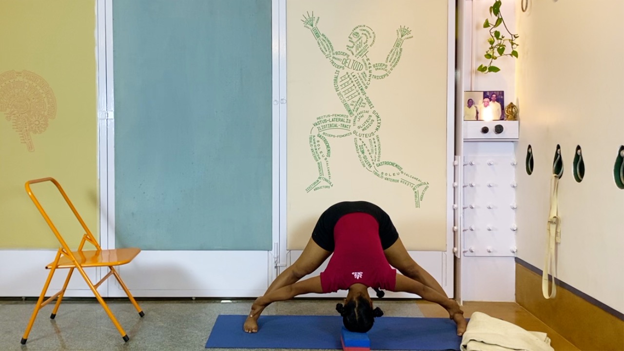 Learning the Practice for Respiratory Health, Part2 for Beginners: Arms/ Shoulder Actions and Inversions - Image 6