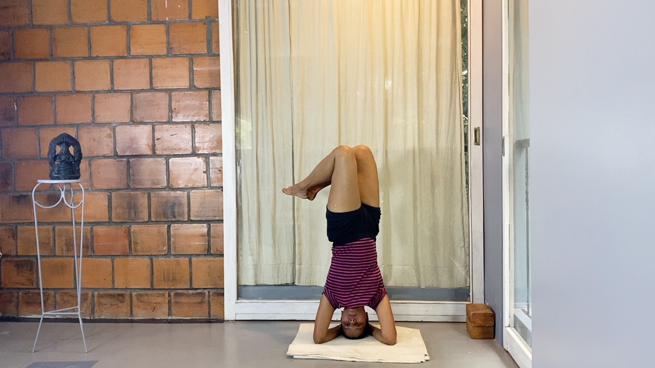 Seated Forward Extensions: Culminating at the Final Positions - Image 14