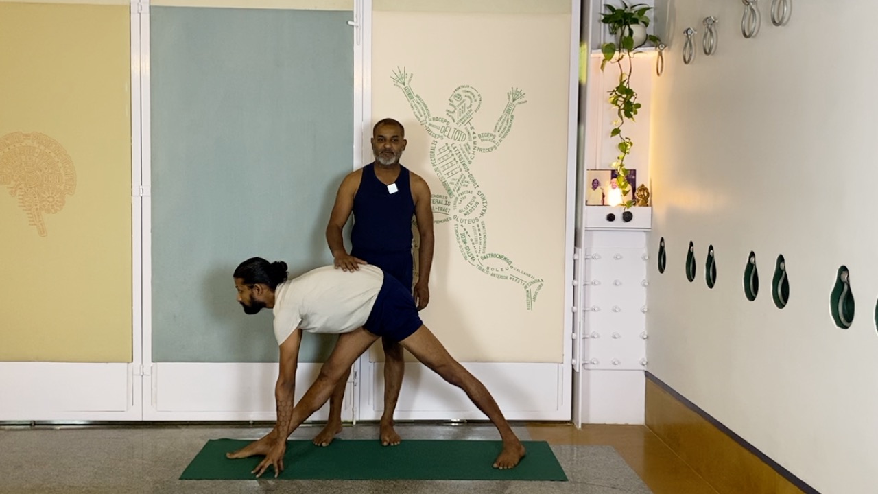 Energising and Warming Part2: Standing and Back Arches - Image 12