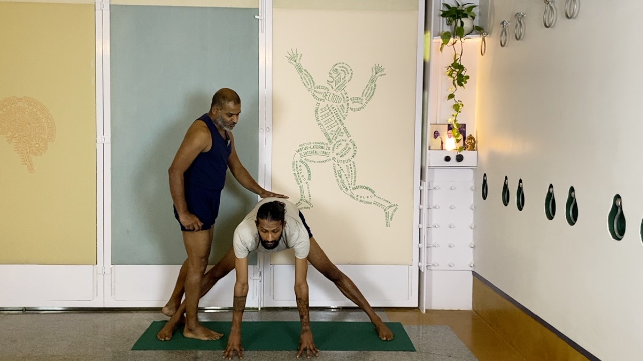 Energising and Warming Part2: Standing and Back Arches - Image 13