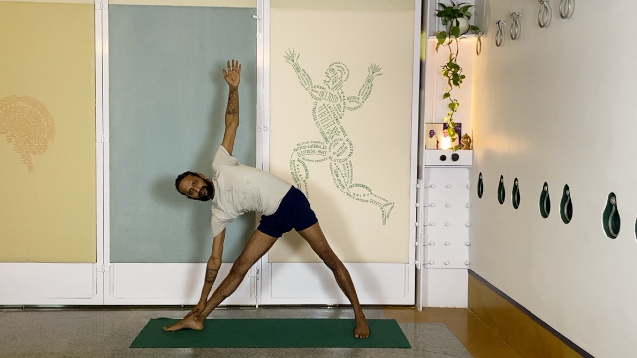 Energising and Warming Part2: Standing and Back Arches - Image 5