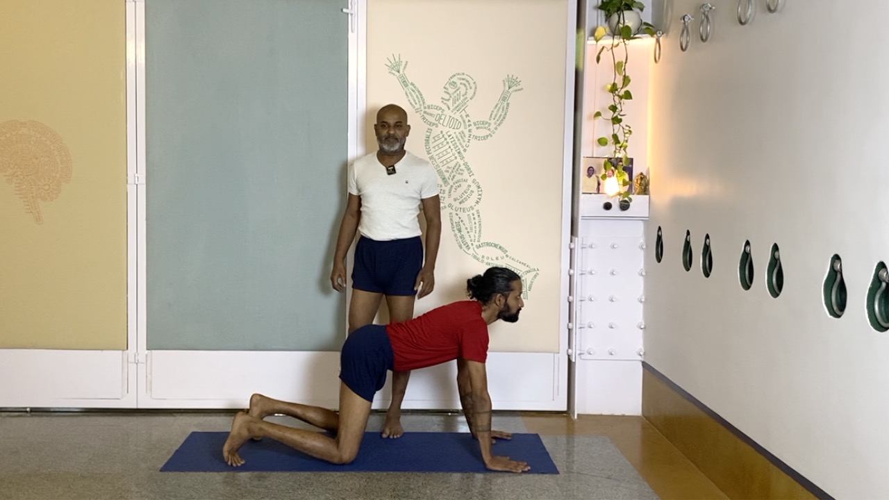 Energising and Warming Part1: Standing and Standing Twists - Image 2