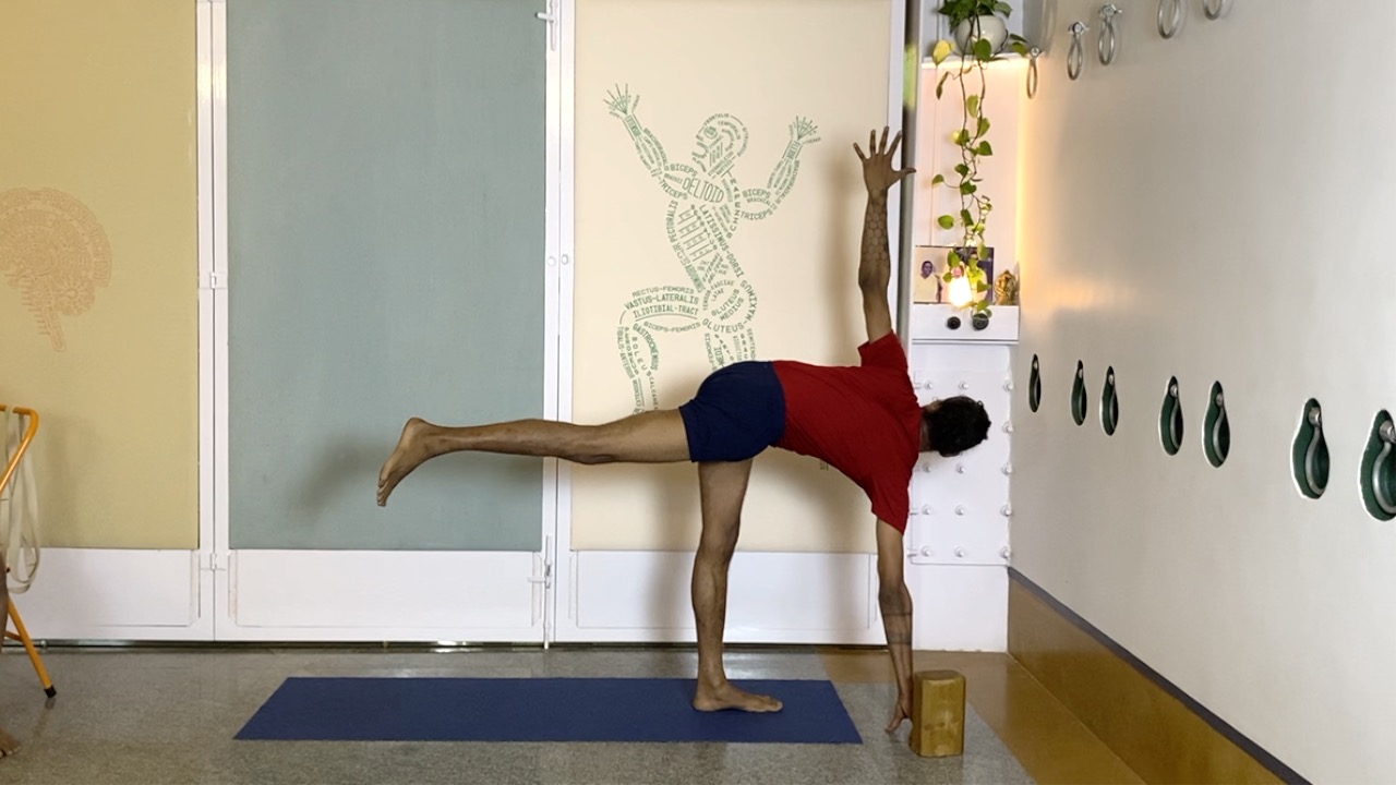 Energising and Warming Part1: Standing and Standing Twists - Image 9