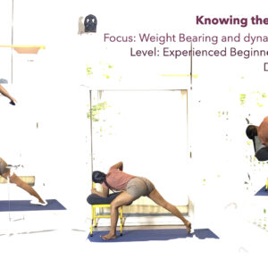 Dynamic Weight Bearing and Weight Shifts for Resilient Knees: Exploration through Utkatasana