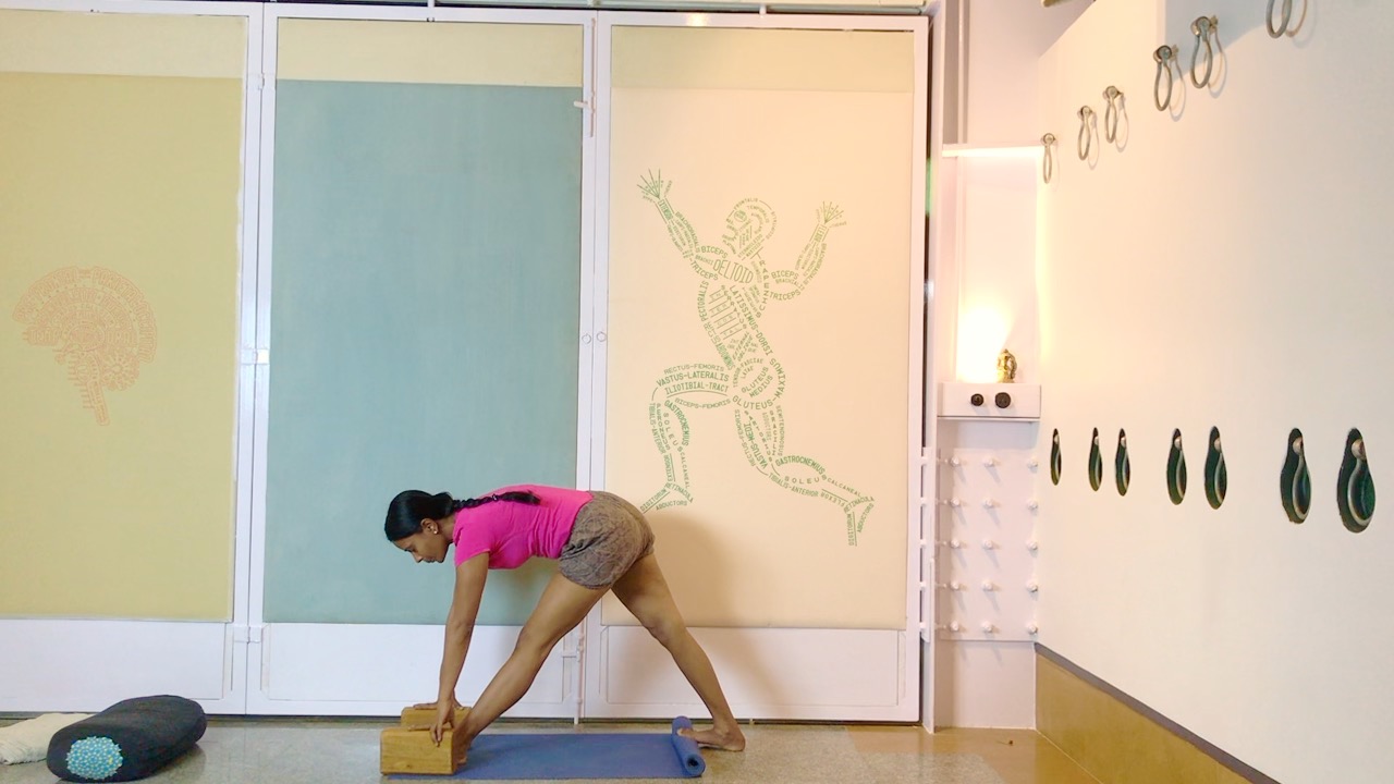 New Movements and Connections for Feet, Ankles and Hips - Image 2