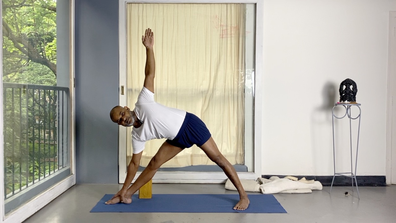 Ardhachandrasana and Parivrtta ardha chandrasana - Image 3