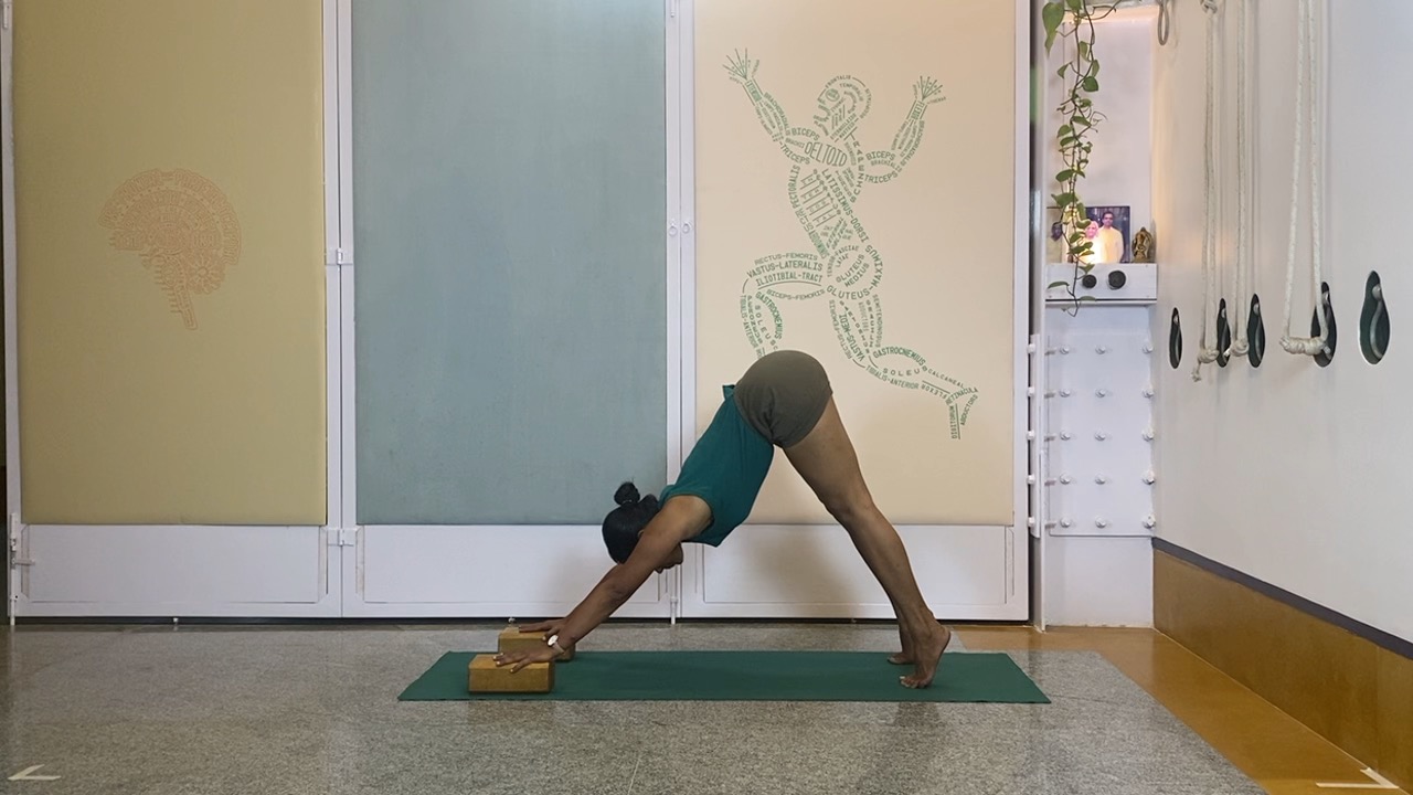 Progressions from Virabhadrasana1 to Twists and Abdominals - Parivrtta Parsvakonasana - Image 7